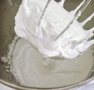 Suloiset kuppikakut (22)