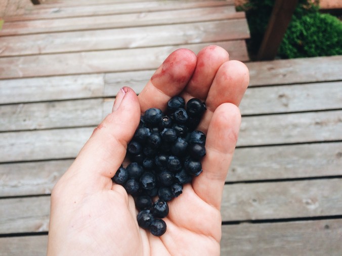 Mustikkainen suklaaminipavlova