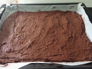 Suven suloinen suklaaleivos (10)