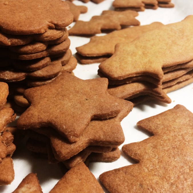 Maailman parhaat joulupiparit (24)