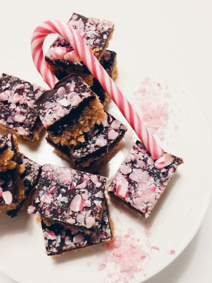 Maapähkinäiset muropalat (10)