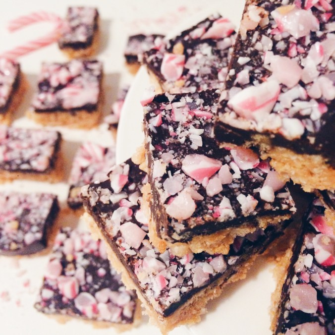 Maapähkinäiset muropalat (13)