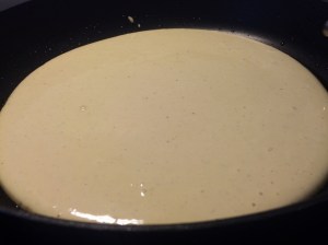 Parasta pannaria pannulla (5)